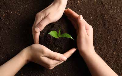 About Parable Trust