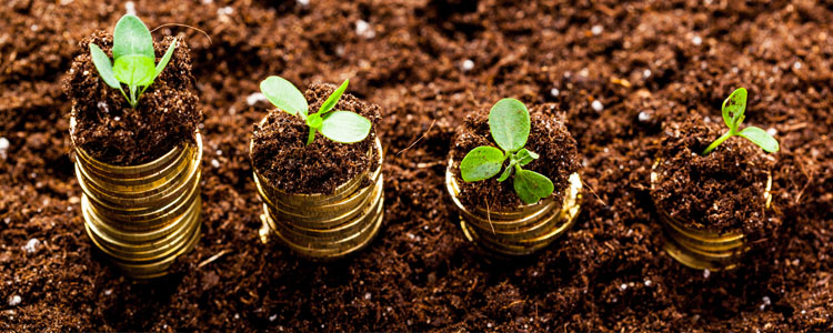Resources can be generated to advance the gospel, charitable work,  missions, and create other businesses.